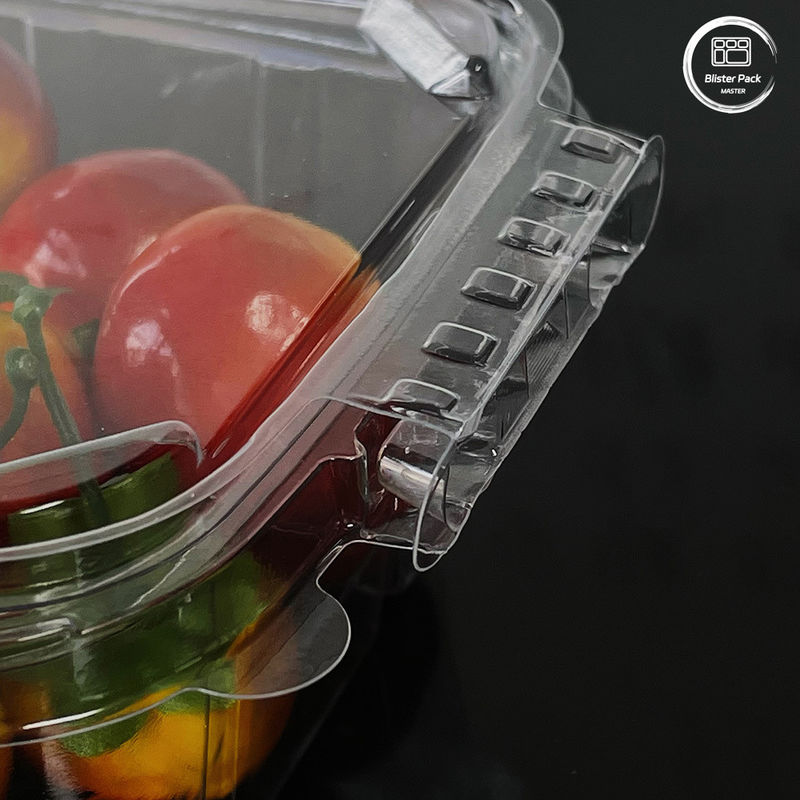 Môi trường thân thiện 16 & 24 Oz hộp salad với nắp đính kèm dùng một lần cho sản phẩm tươi
