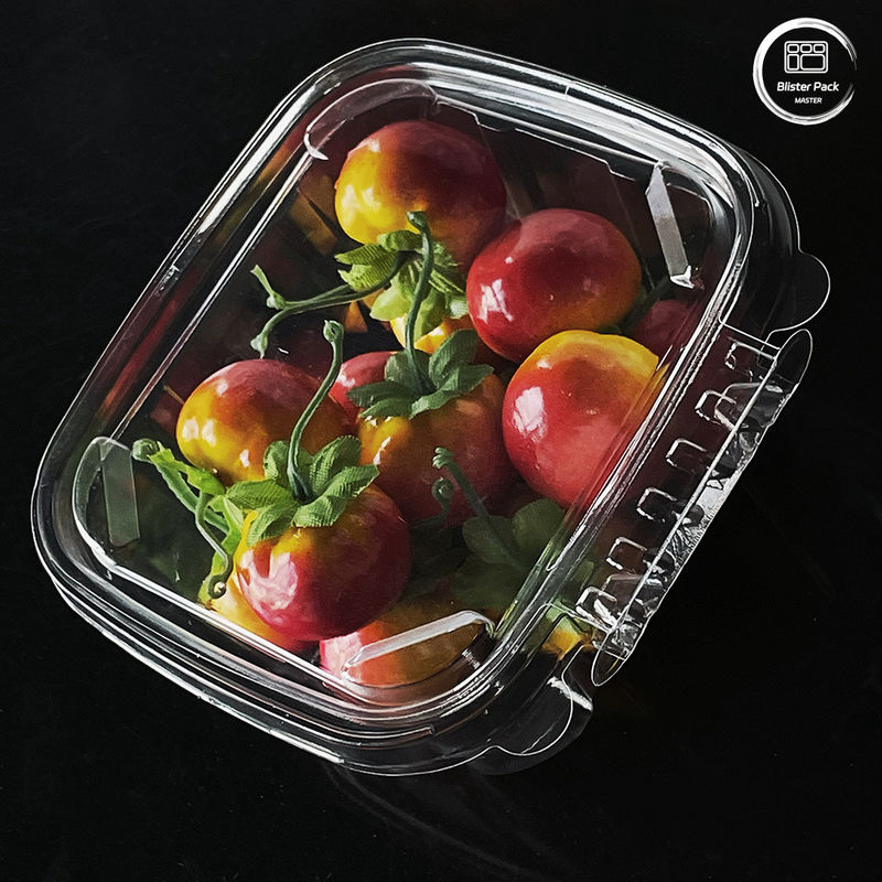 Môi trường thân thiện 16 & 24 Oz hộp salad với nắp đính kèm dùng một lần cho sản phẩm tươi