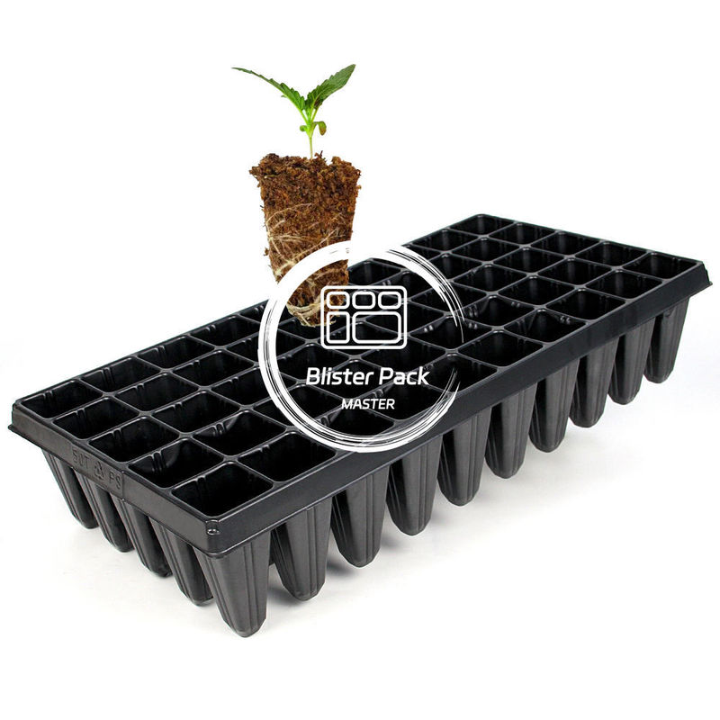 50 Thang phát triển hạt nhân từ nhựa tế bào bền Thang khởi động hạt giống chốt cho sự phát triển thực vật hiệu quả