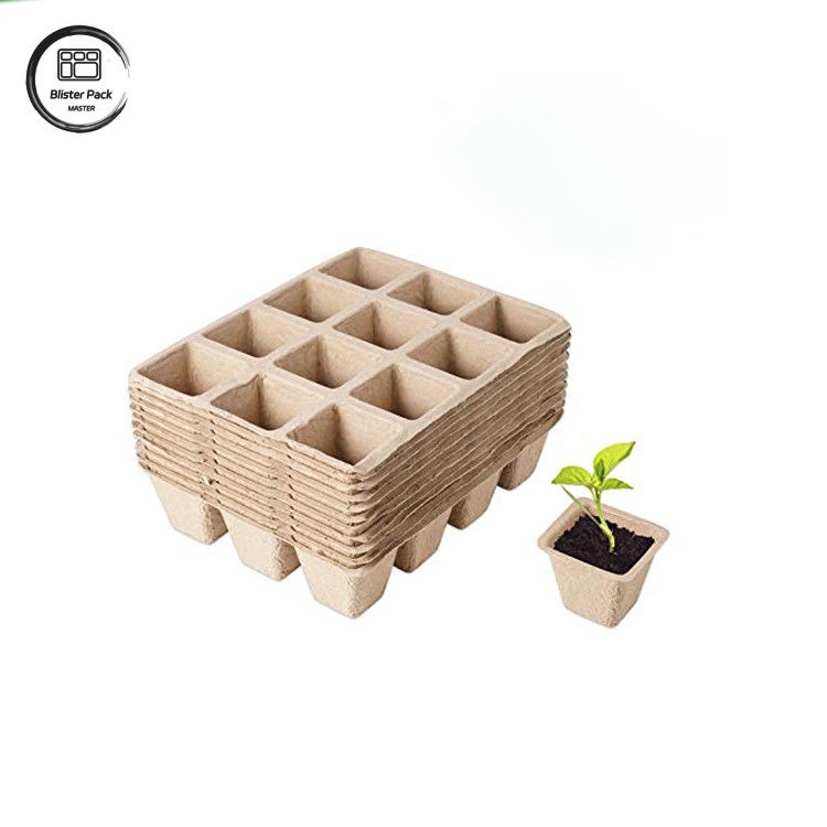 Bộ dụng cụ bắt đầu cho việc trồng hạt giống