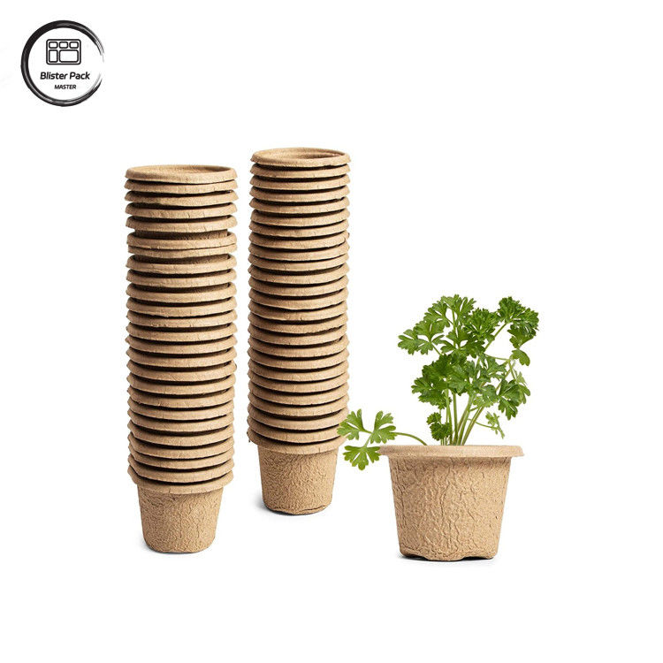 Bộ dụng cụ bắt đầu cho việc trồng hạt giống