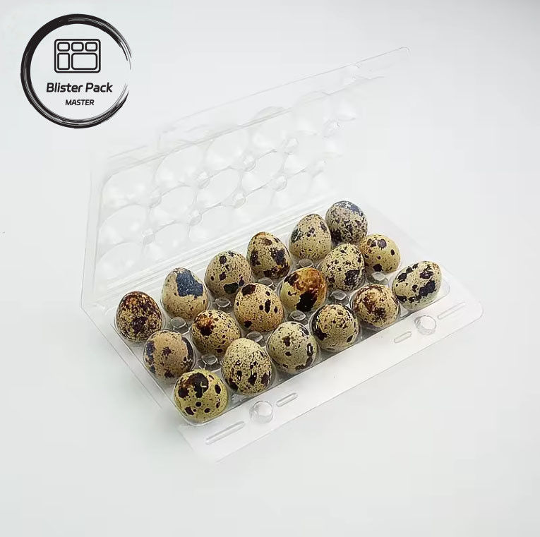 Thang hộp trứng tùy chỉnh Nhiều kích thước (4, 6, 12, 15, 20, 30 khe) để đóng gói trứng hiệu quả