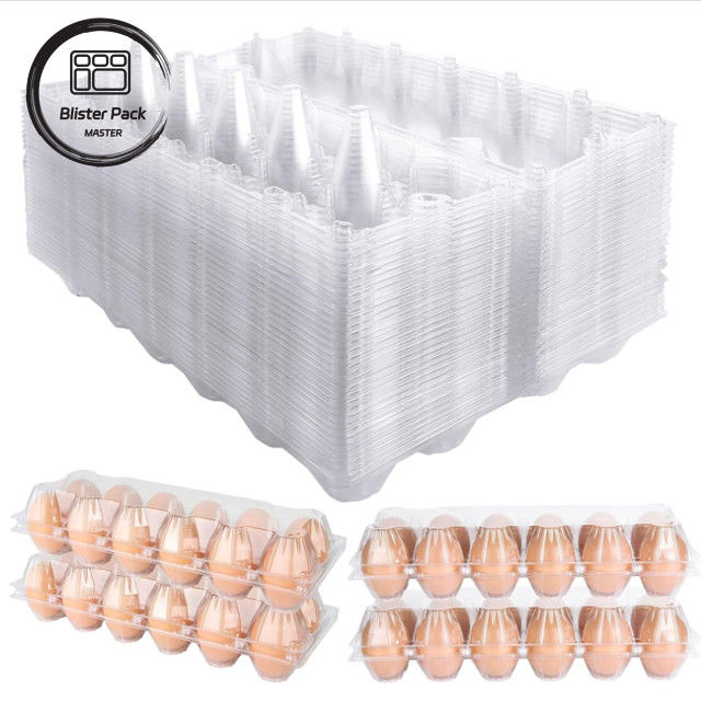 Thang hộp trứng tùy chỉnh Nhiều kích thước (4, 6, 12, 15, 20, 30 khe) để đóng gói trứng hiệu quả