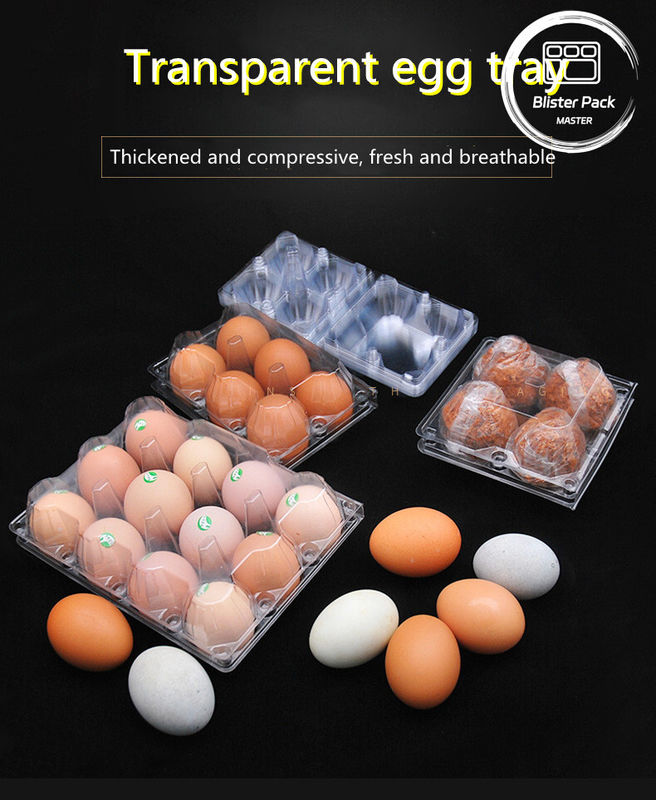 15 Thang trứng bằng nhựa rõ ràng có nẹp tế bào