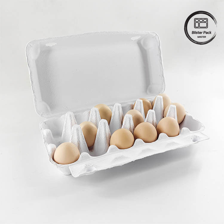 Bao bì trứng bạch tuộc sinh thái tùy chỉnh 12 6 4 Hộp giấy bột hộp trứng cho trứng gà