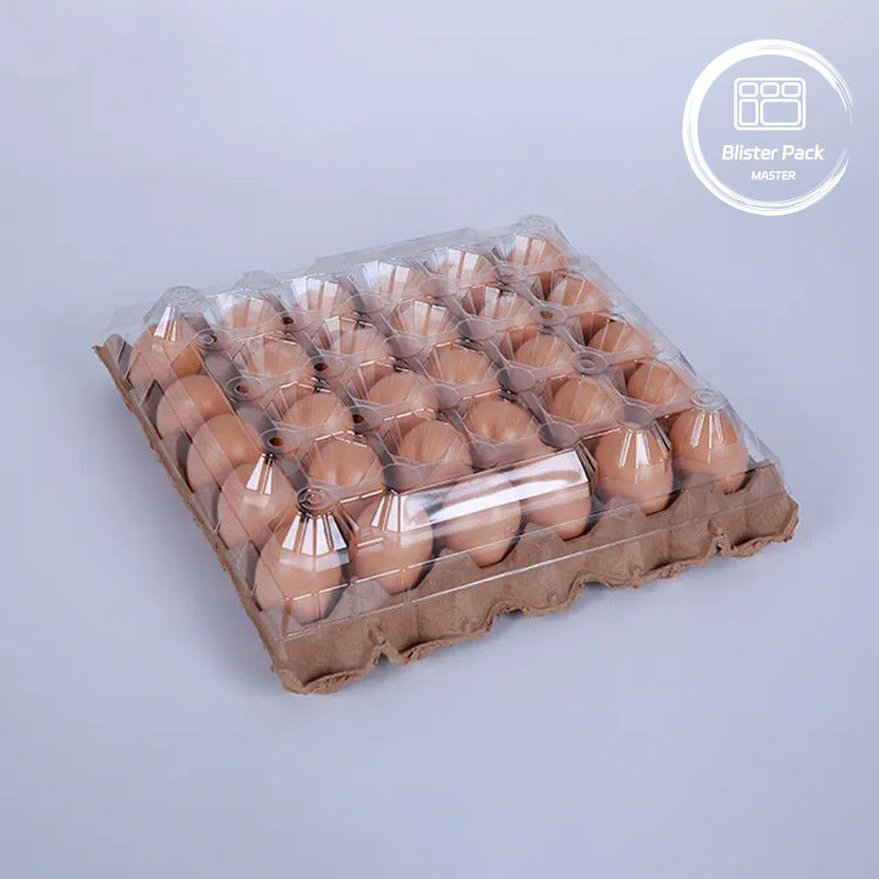 Bao bì đĩa trứng nhựa PET 30 hộp hộp lỗ với kích thước S / M / L với đáy giấy