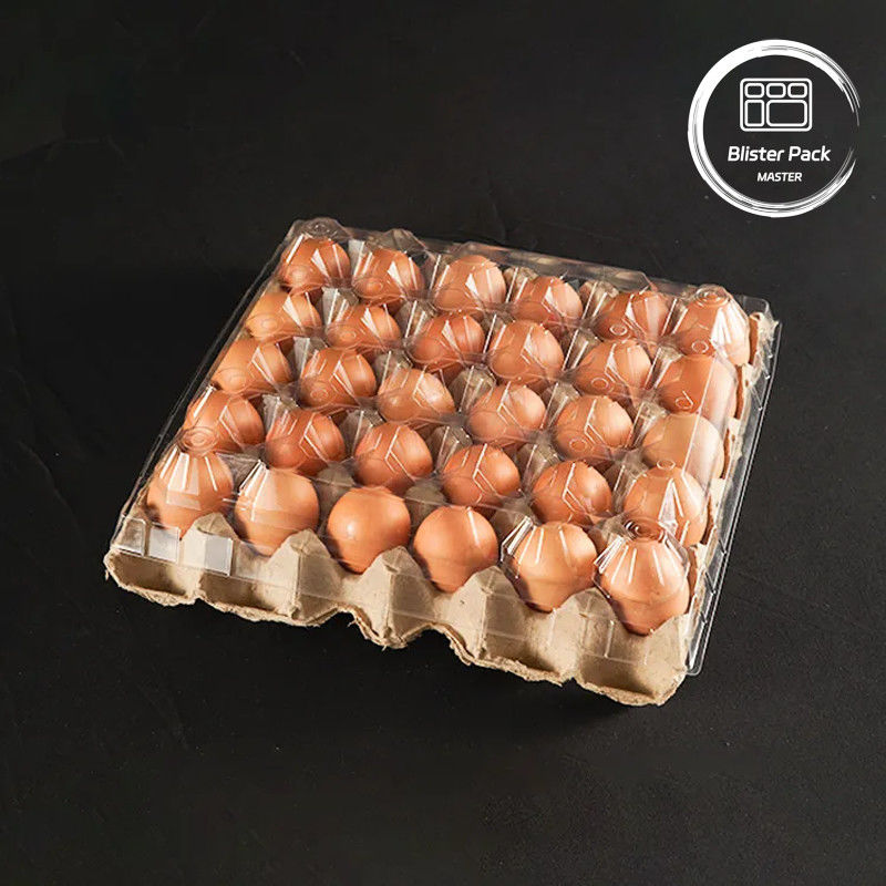 20/24/30 Cell PET Clear Plastic Egg Blister Tray Bao bì trứng gà quái vật dùng một lần với nắp