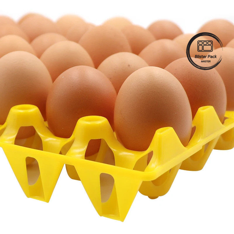 30 Thang Trứng Blister Thẻ nhựa màu sắc Thang nhựa nhiệt hình bền cho trang trại gà