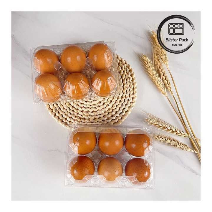 6 Bao bì hộp trứng nhựa Hộp đóng gói trứng bền để lưu trữ an toàn