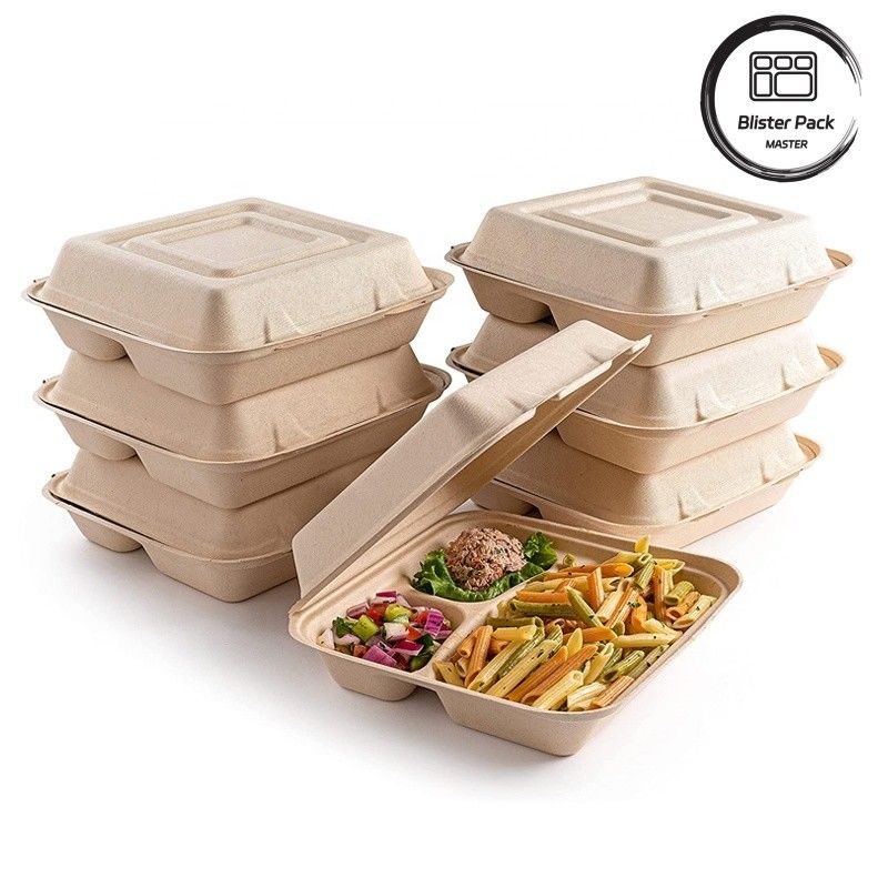 Blister Eco Compostable Clamshell 3 Khu vực Thức ăn trưa dùng một lần