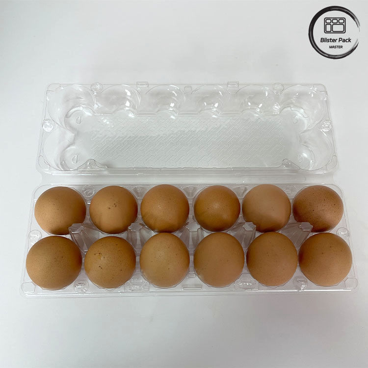 12 Đếm Thể sử dụng nhiều lần Tray Blister Plastic Chicken Egg Tray Thermoforming Cho Lưu trữ Và Giao thông
