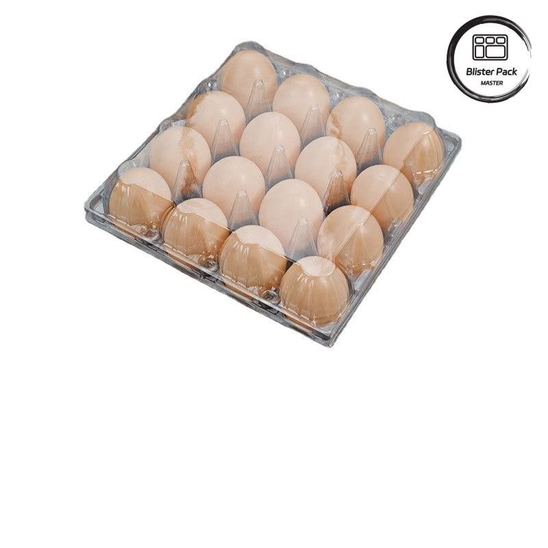 20/24/30 Cell PET Clear Plastic Egg Blister Tray Bao bì trứng gà quái vật dùng một lần với nắp