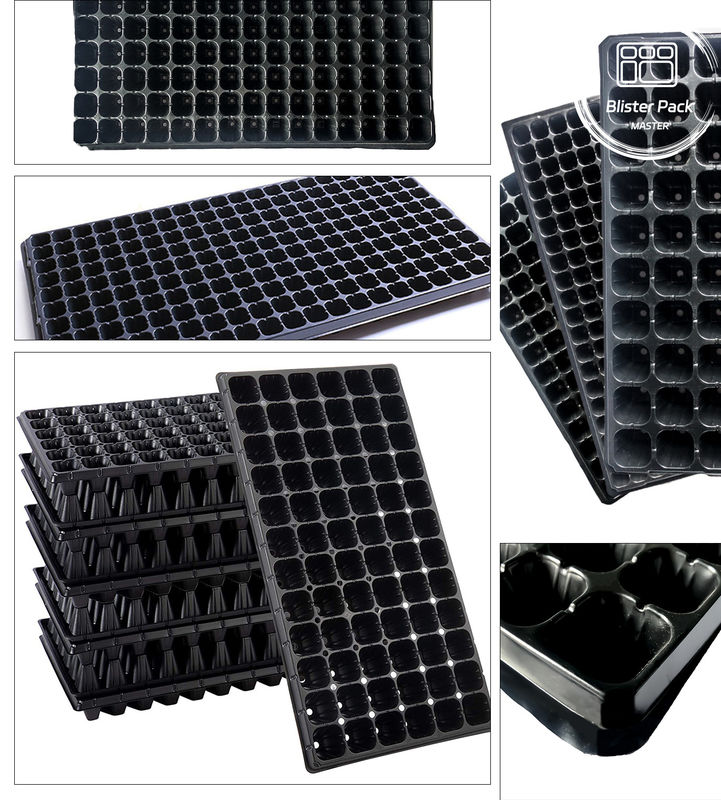 Chất liệu nhựa bền 200 lỗ để trồng cây