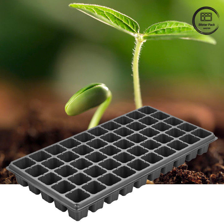 Thang bắt đầu trồng hạt 50-lỗ, Thang nhân giống nhựa cứng cho việc trồng vườn nhà