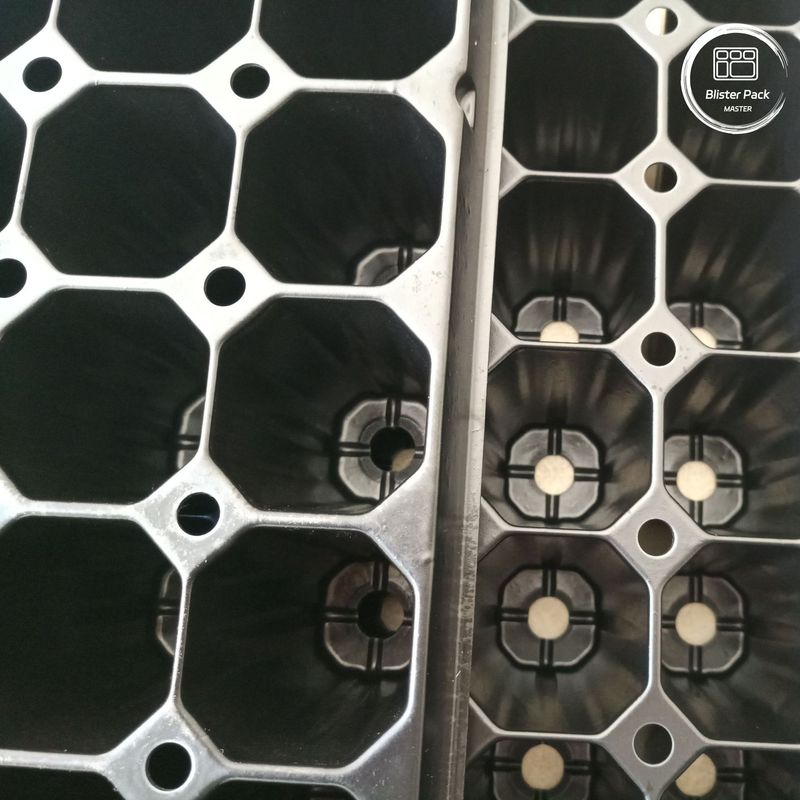 Thẻ bán buôn 72-Cell Plug seedling tray, Tray nhựa bền cho nảy mầm và nhân giống