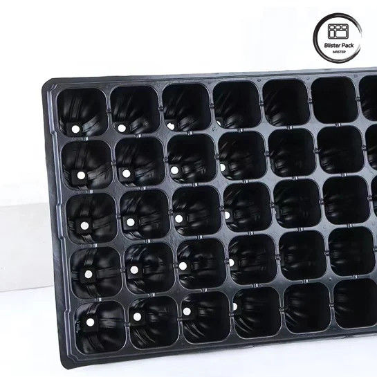 50 tế bào hạt giống vườn ươm cắm khay vật liệu PS bền cho sự phát triển hạt giống hiệu quả